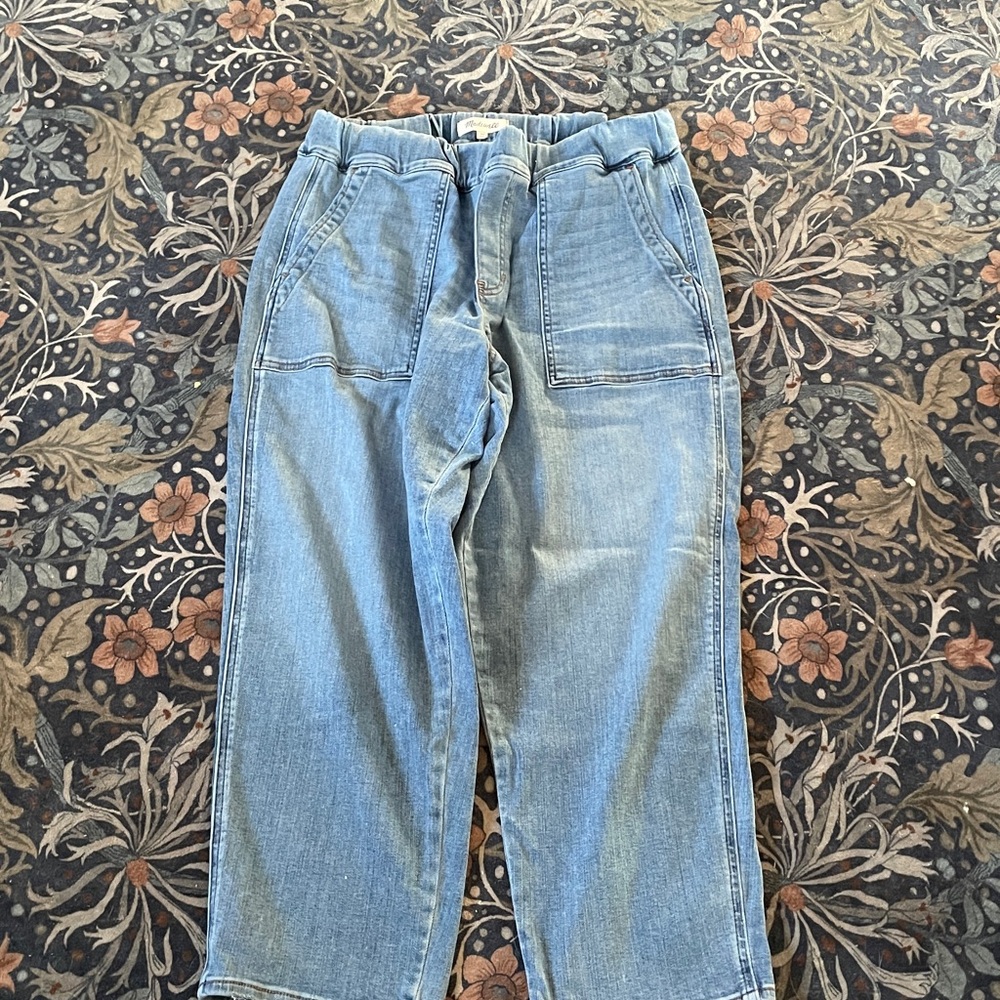 Madewell Pull-On Relaxed Jeans in Beswick Wash